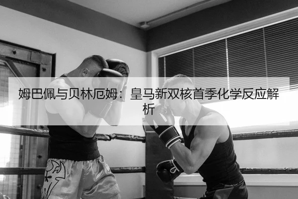 mu-ba-pei-yu-bei-lin-e-mu-huang-ma-xin-shuang-he-shou-ji-hua-xue-fan-ying-jie-xi-2-753.jpg